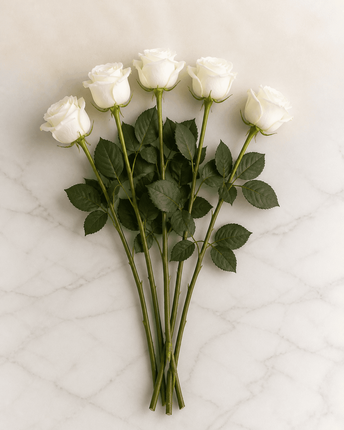 Local White Rose Stems