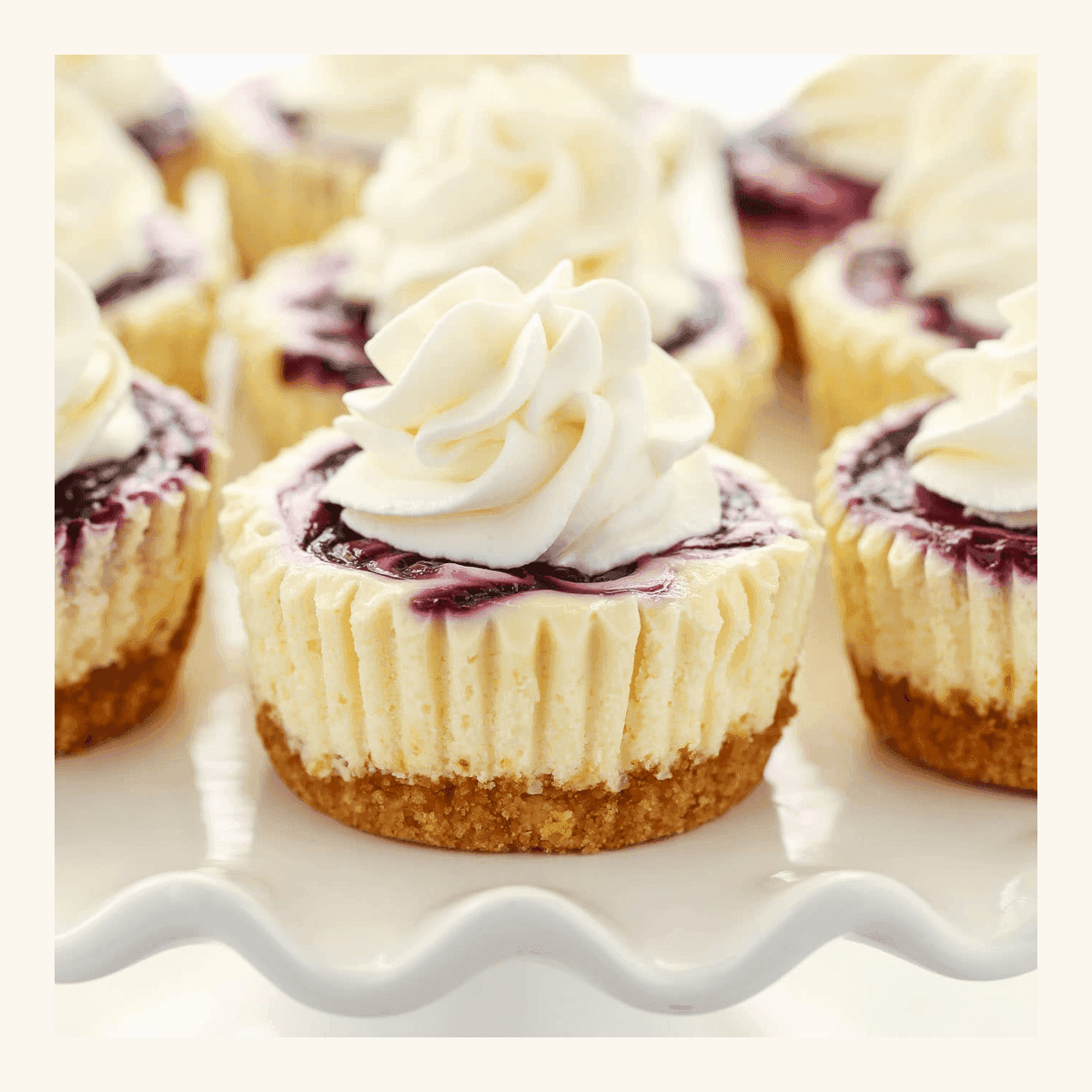 Cake Bites Blueberry Cheesecake