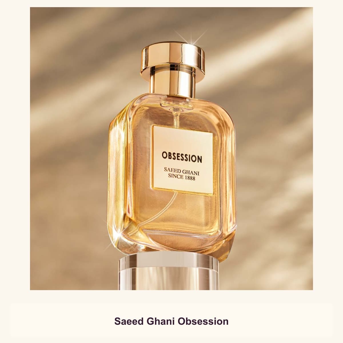 Saeed Ghani Obsession